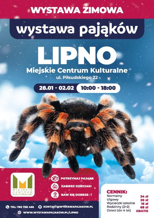 Zobacz żywe pająki i skorpiony!